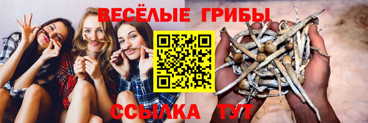Галлюциногенные грибы мухоморы  Вход с VPN  Краснодар  Псилоцибиновые грибы ЛСД 