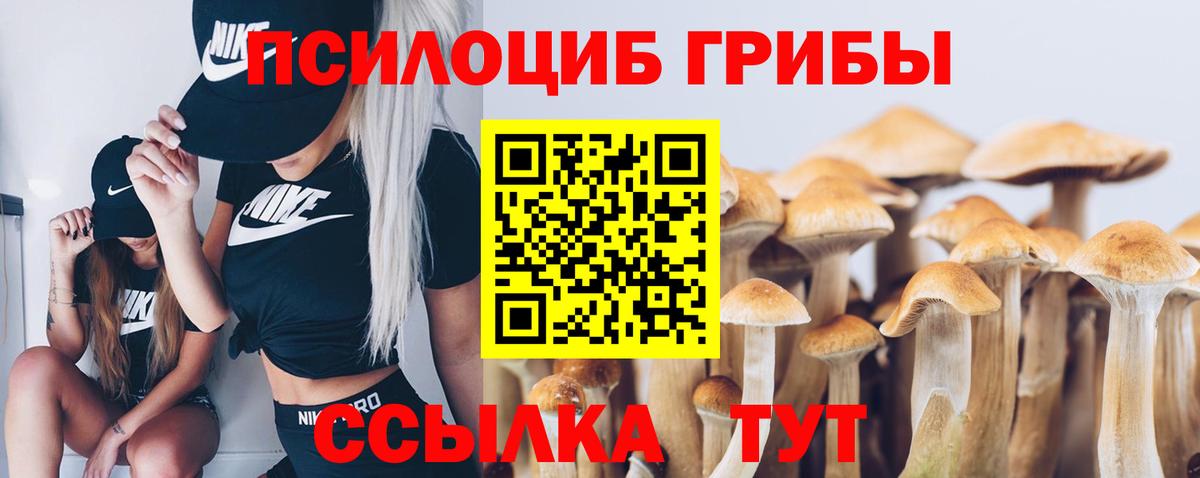 Галлюциногенные грибы Magic Shrooms Краснодар